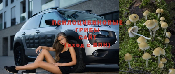 бошки Армянск