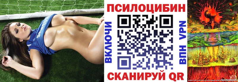 Псилоцибиновые грибы Cubensis Цивильск